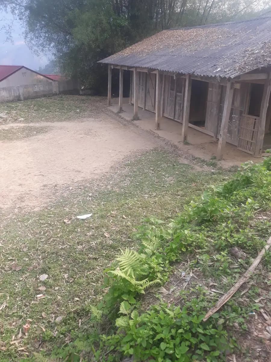 Image 10