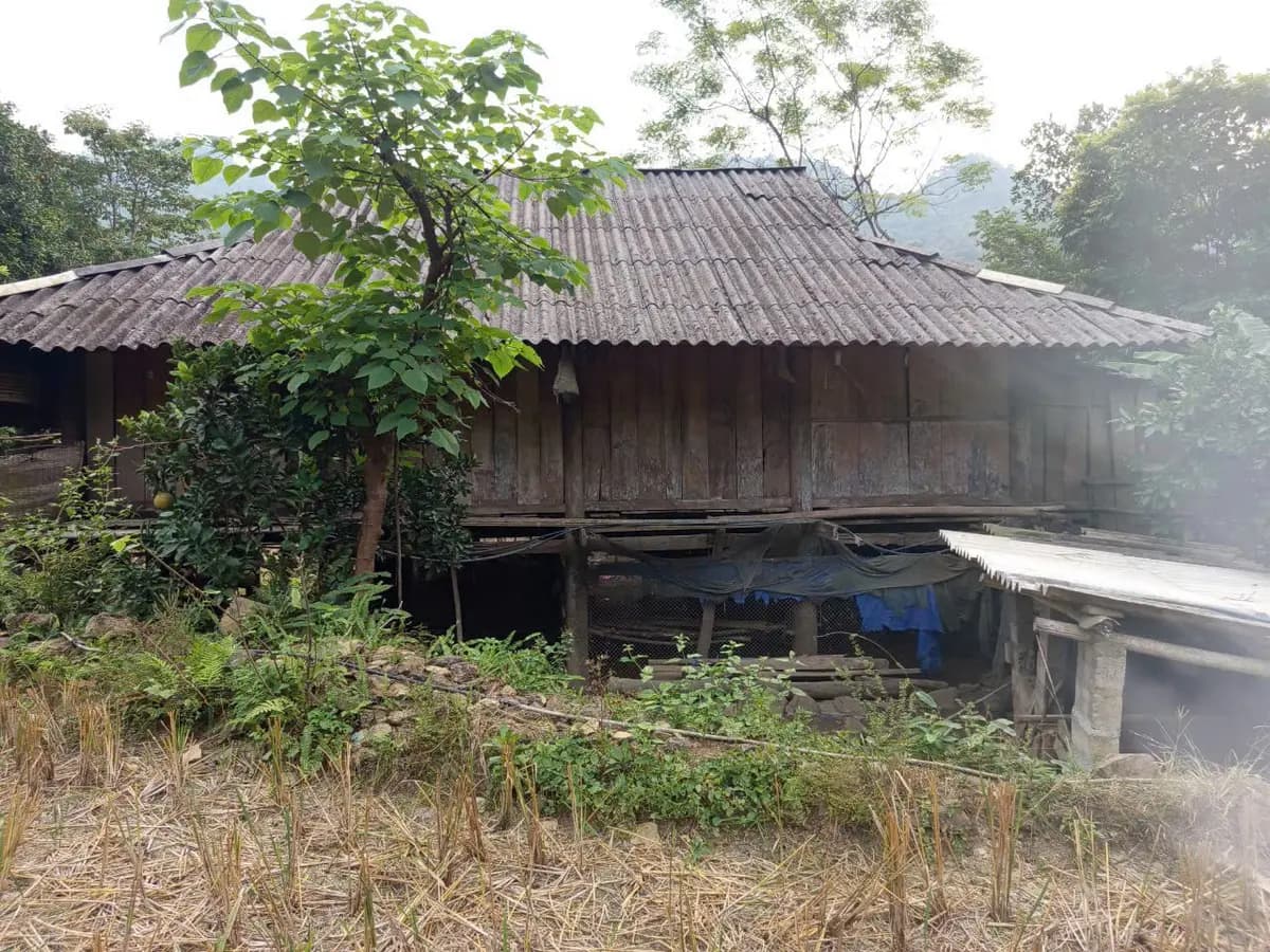 Image 12