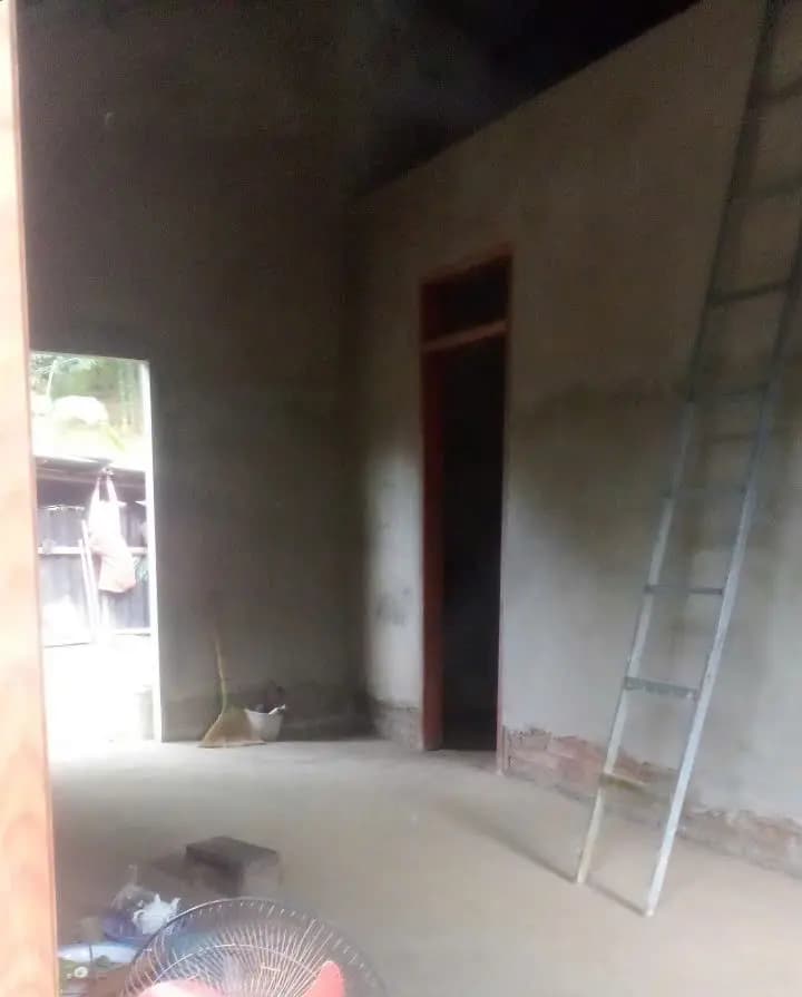 Image 13