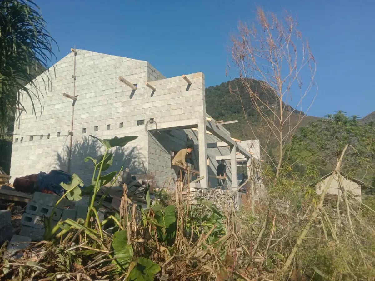 Image 6