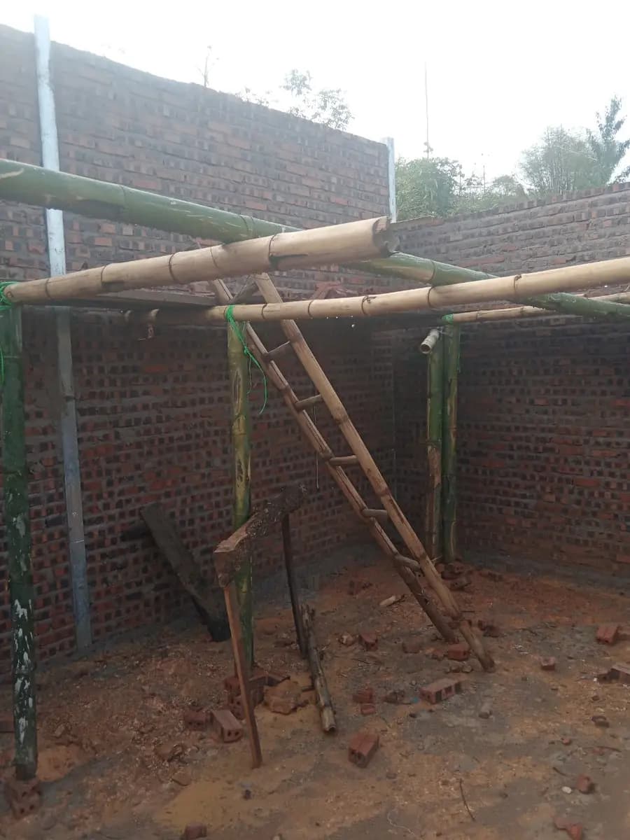 Image 14