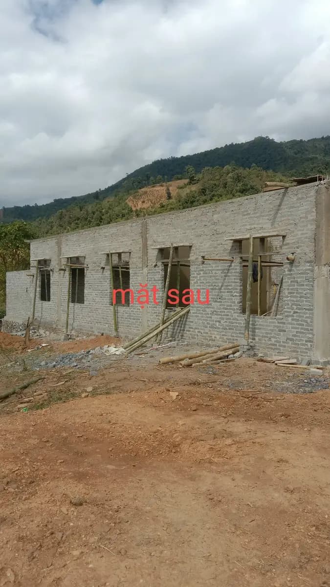 Image 13