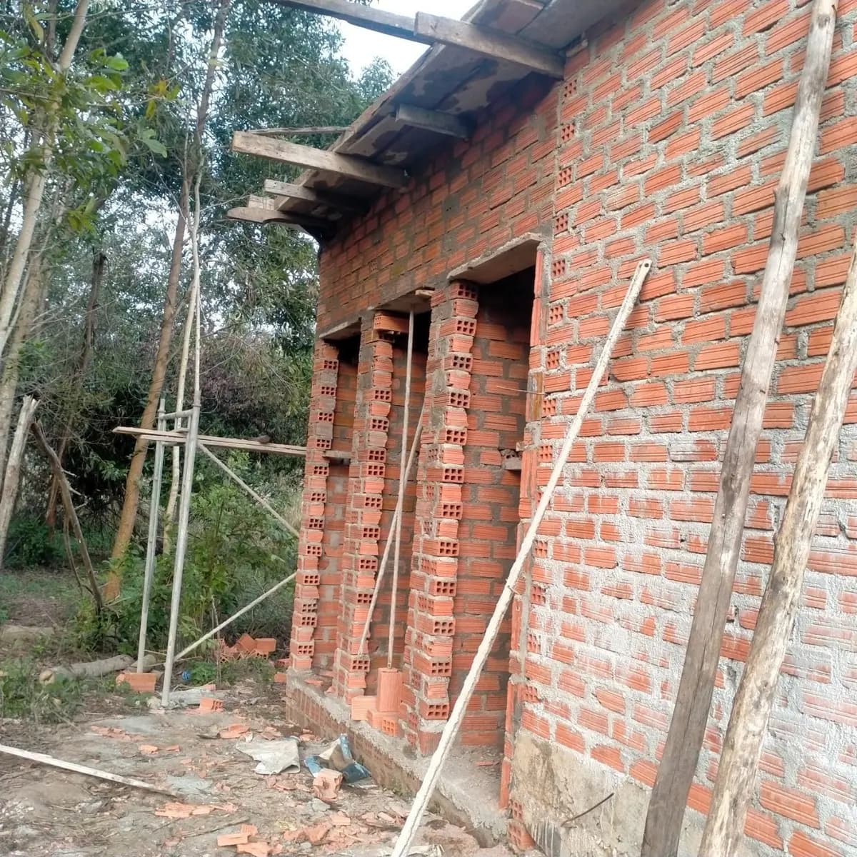Image 14