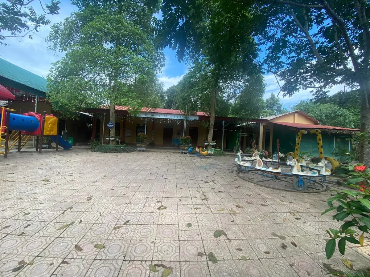 Image 7