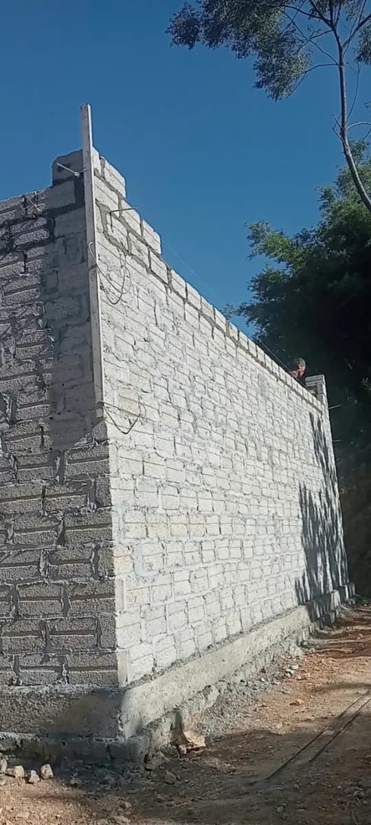 Image 23
