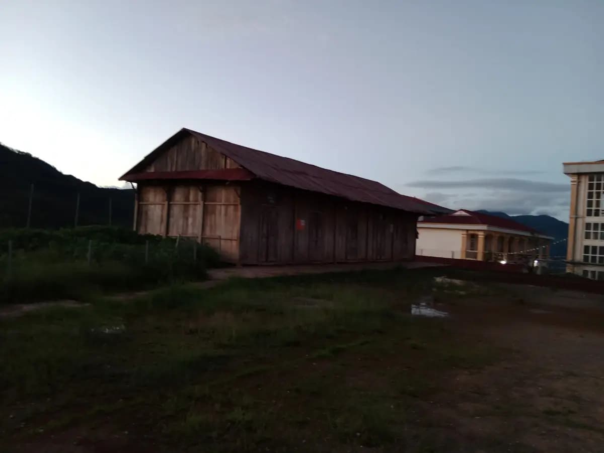 Image 7
