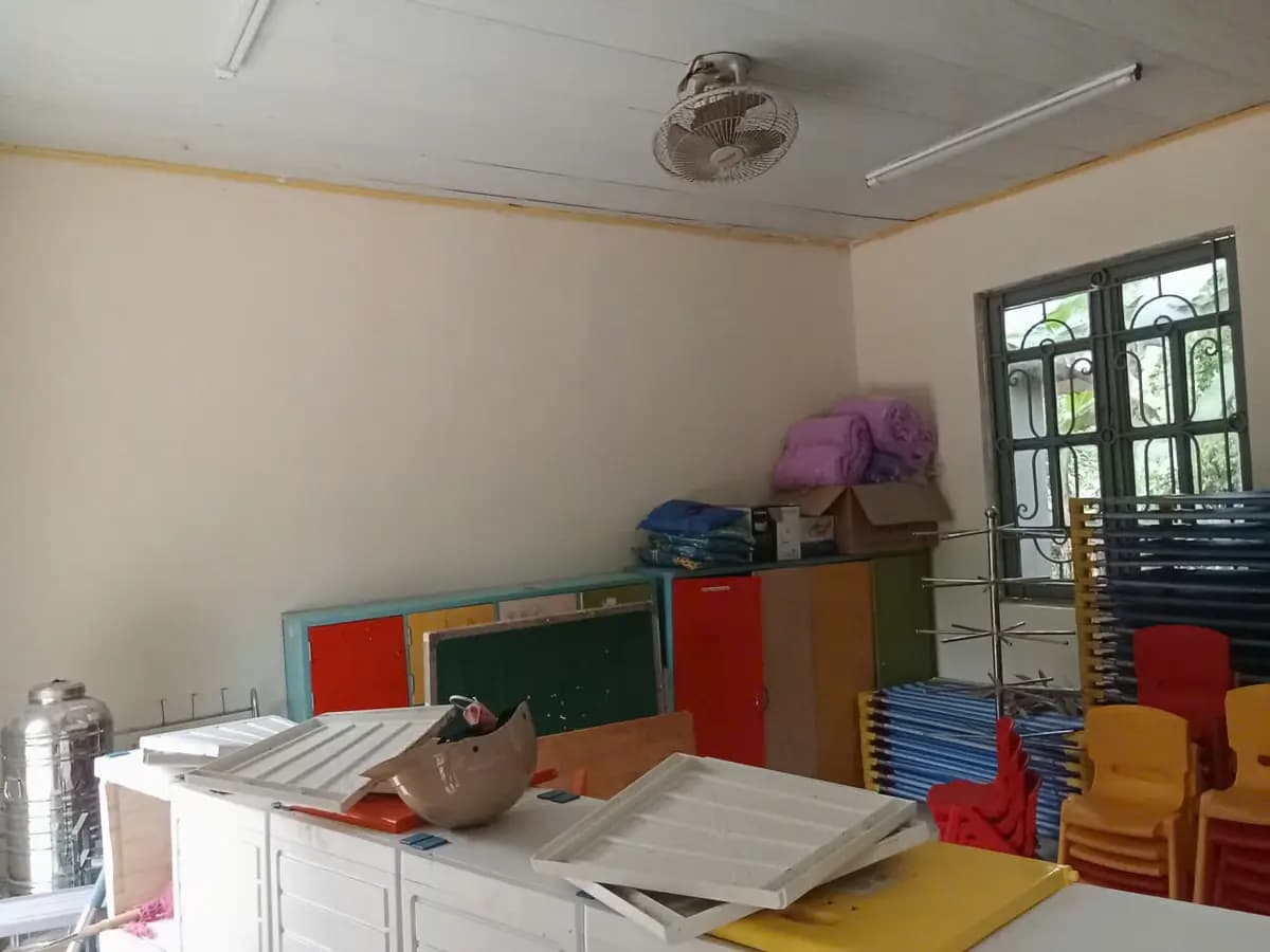 Image 5