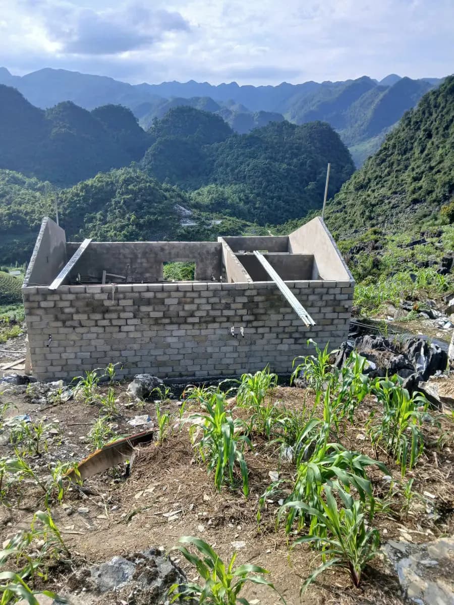 Image 11