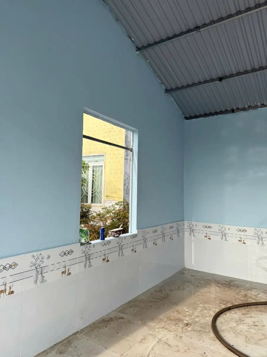 Image 12