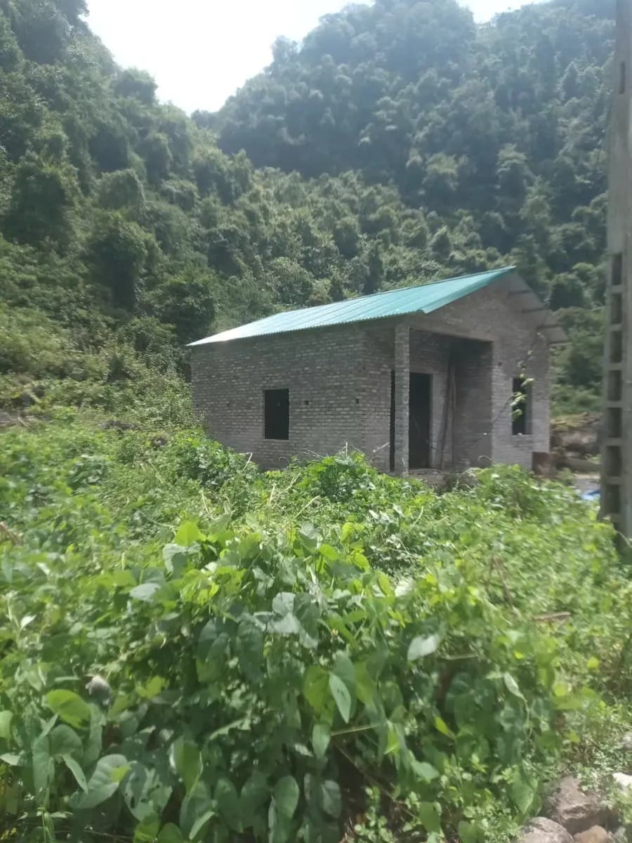 Image 6