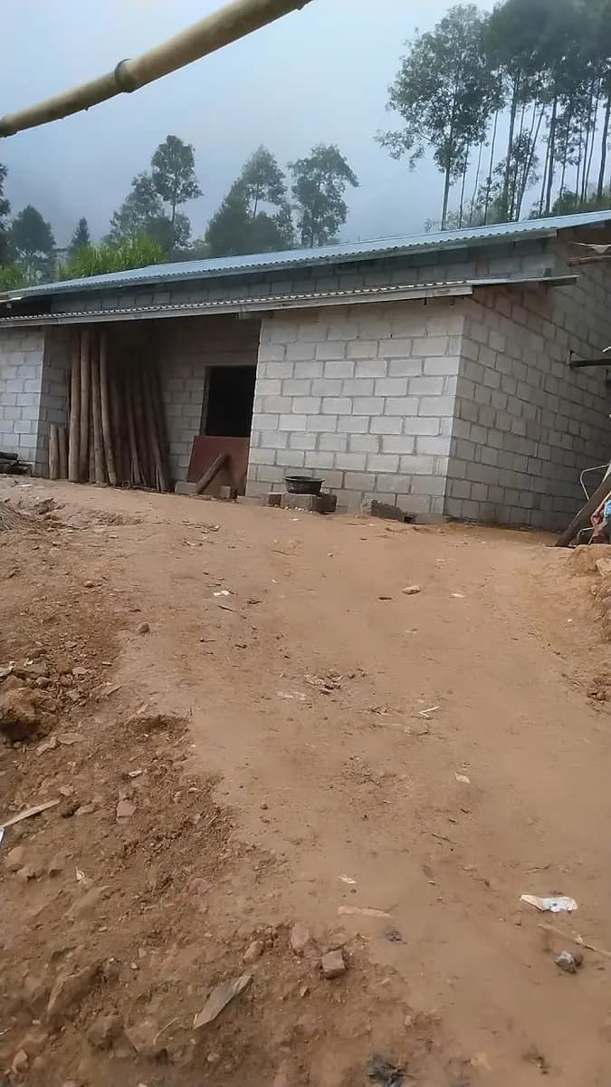 Image 13