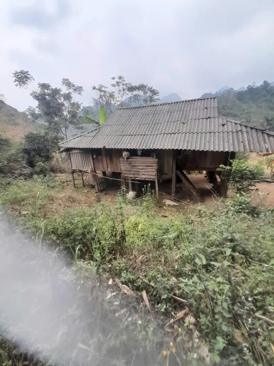 Image 9