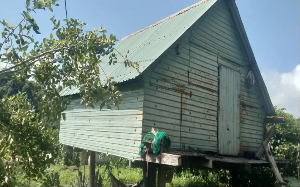 Image 4