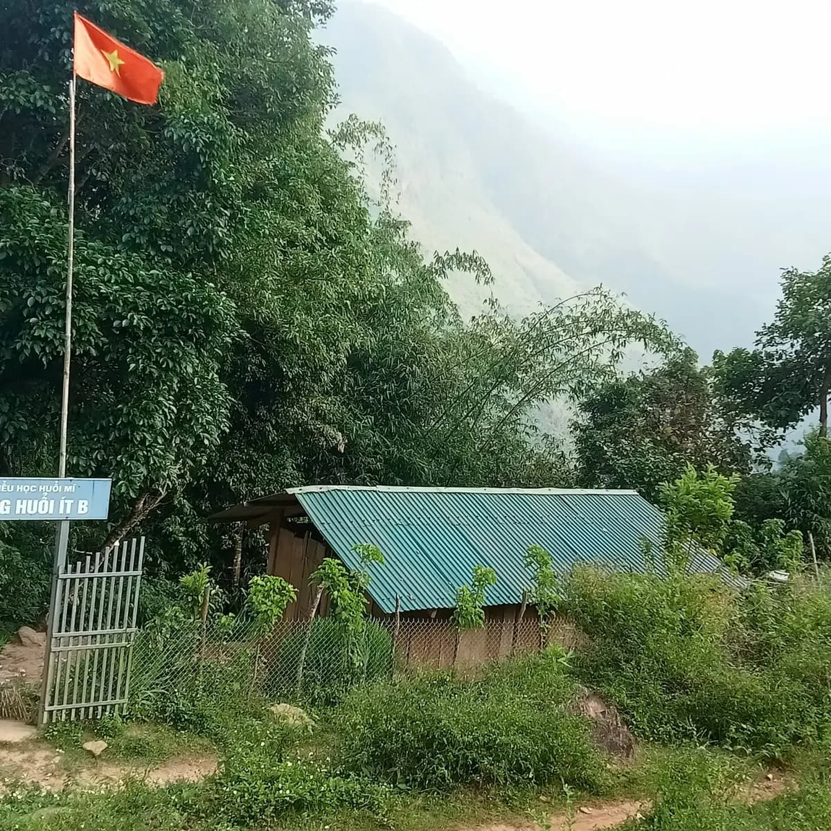 Image 8