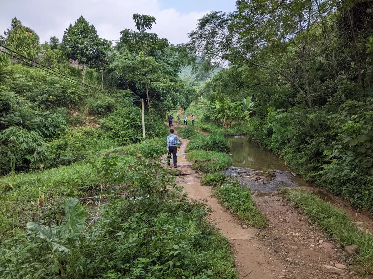 Image 11