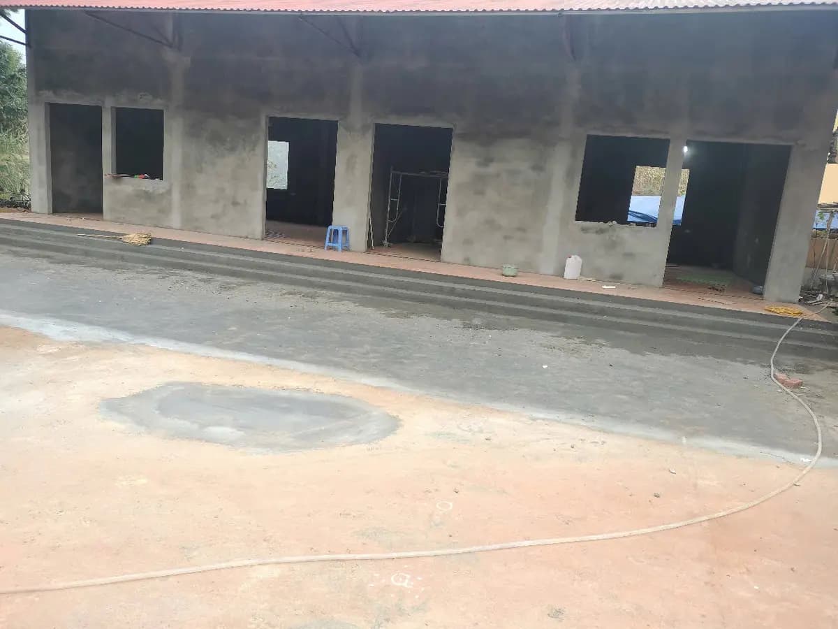 Image 6