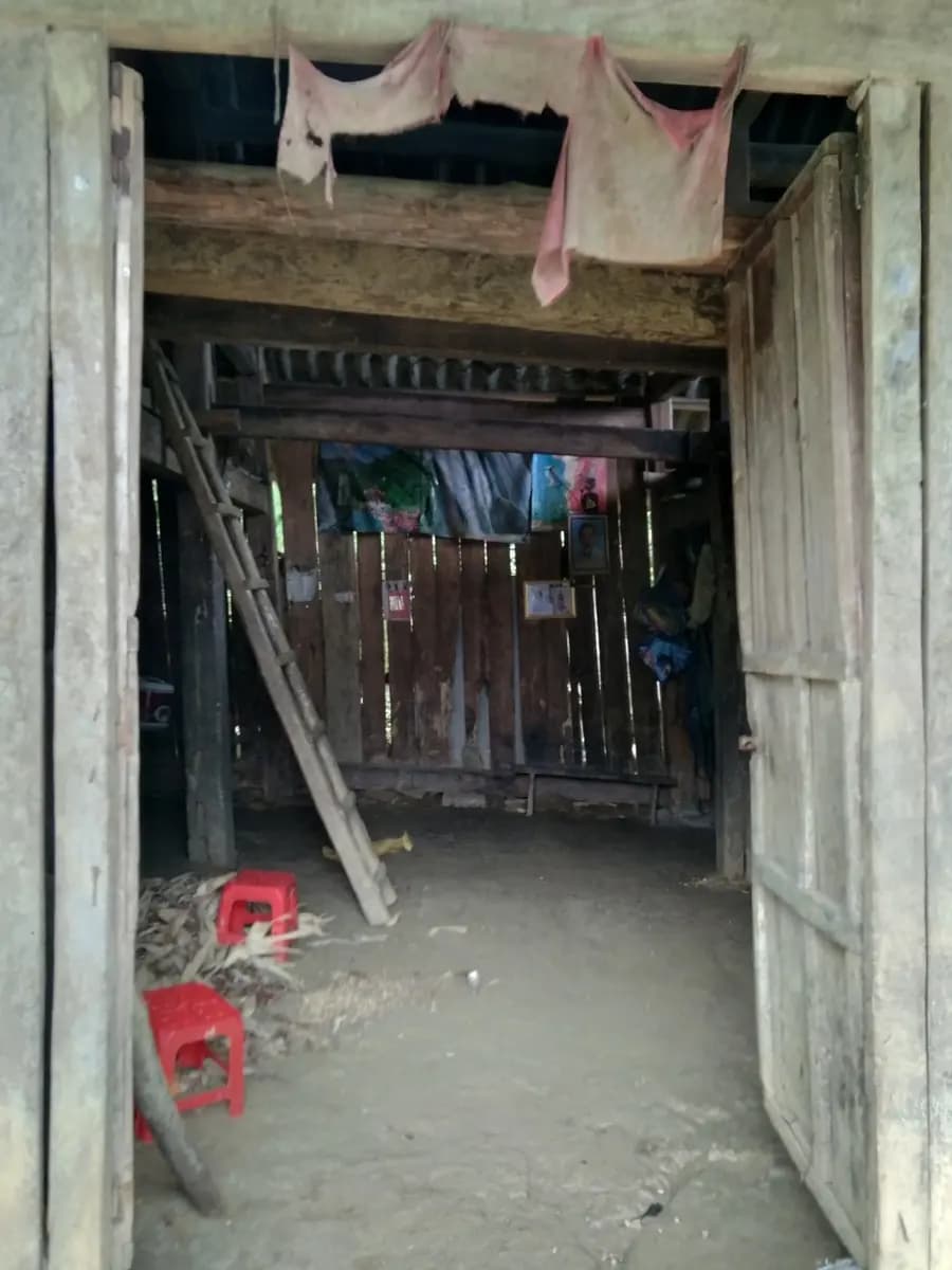 Image 12