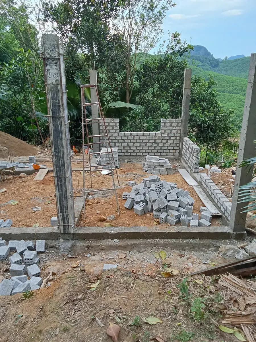 Image 13