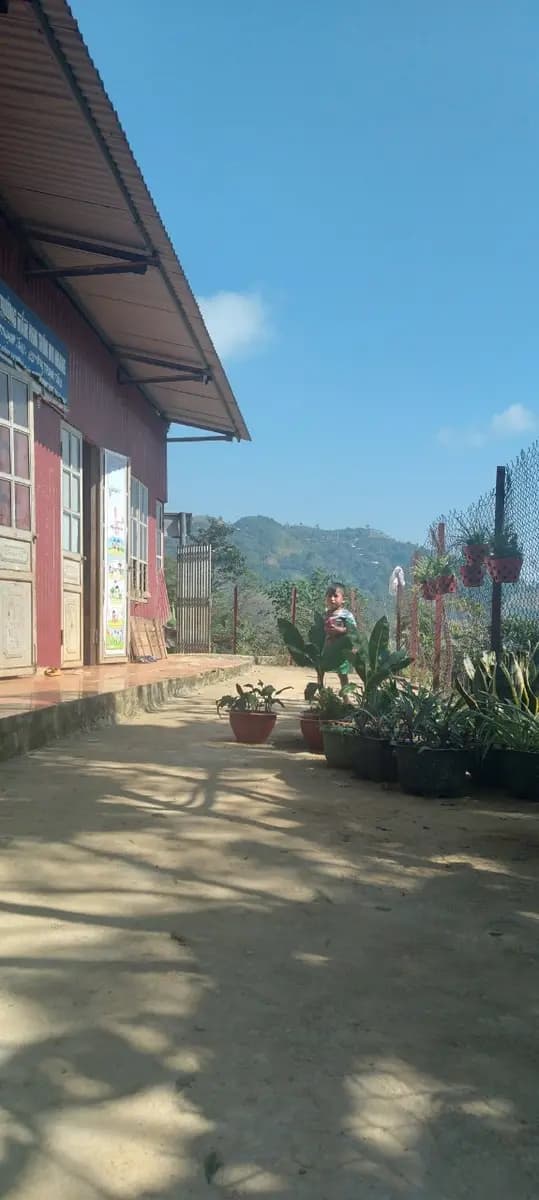 Image 4