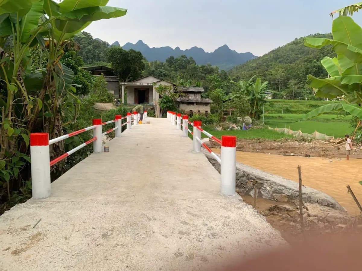 Image 10