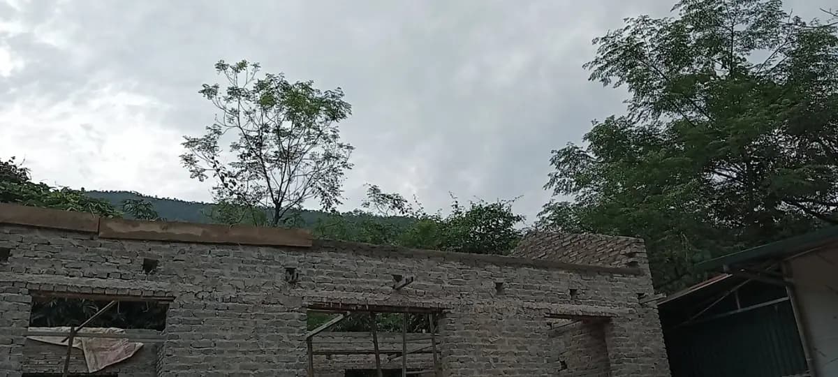 Image 21