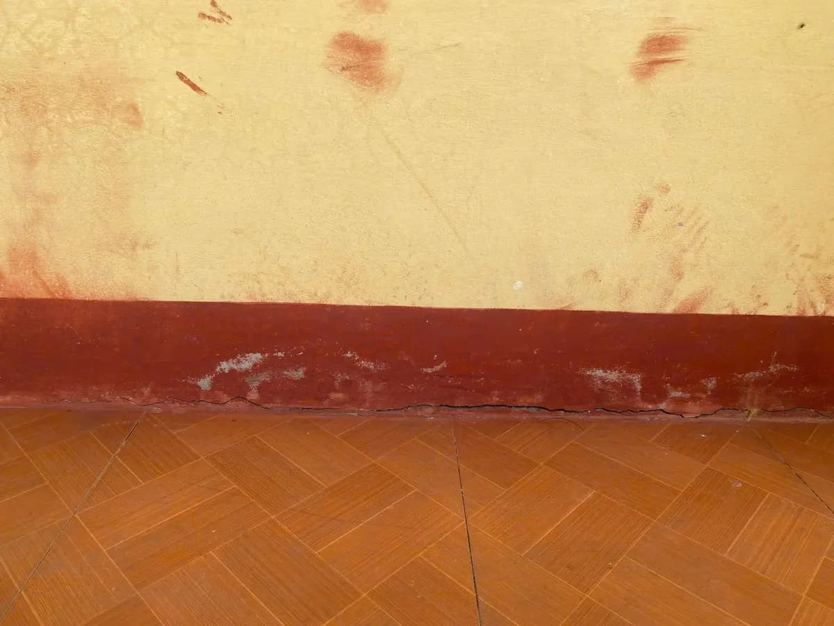Image 14