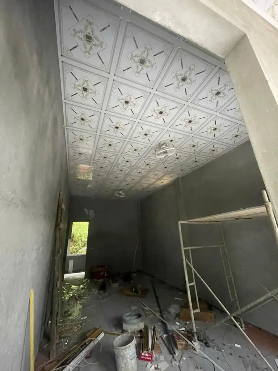 Image 8
