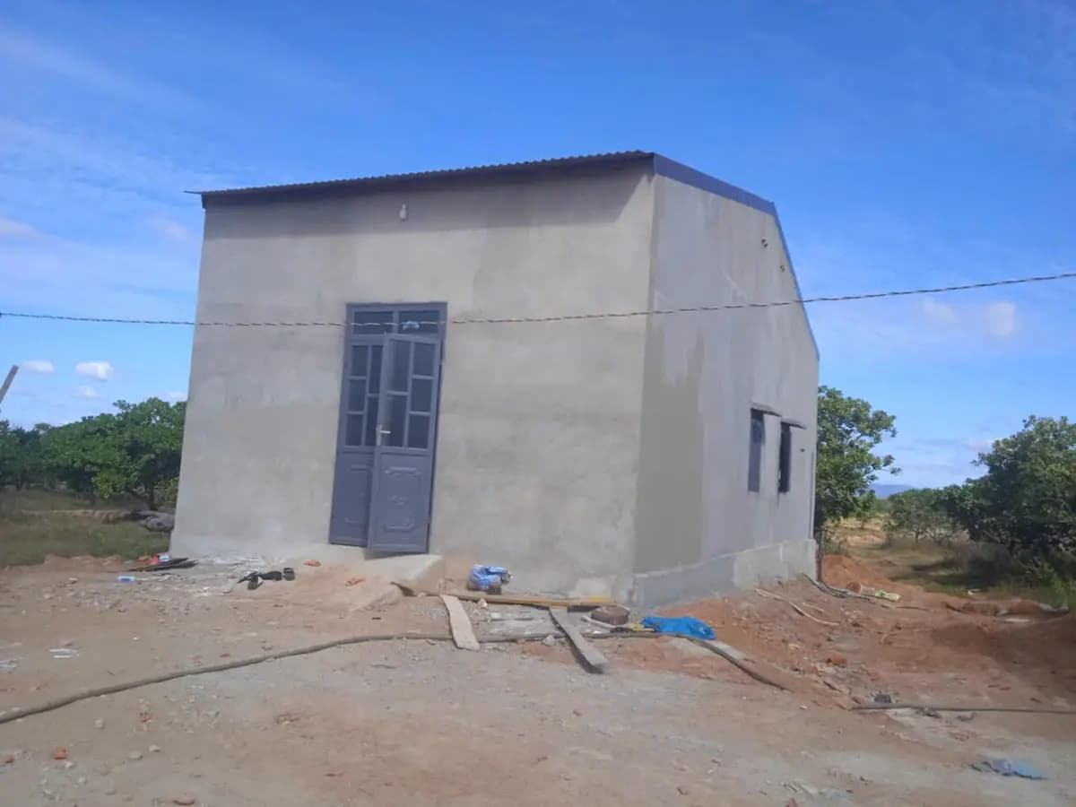 Image 6