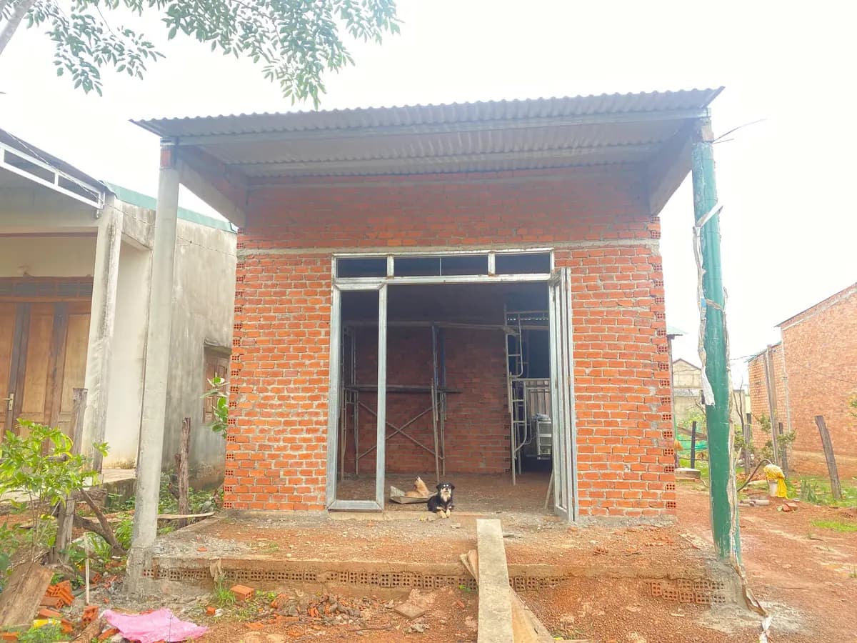 Image 19