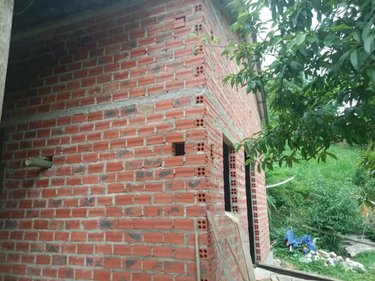 Image 15