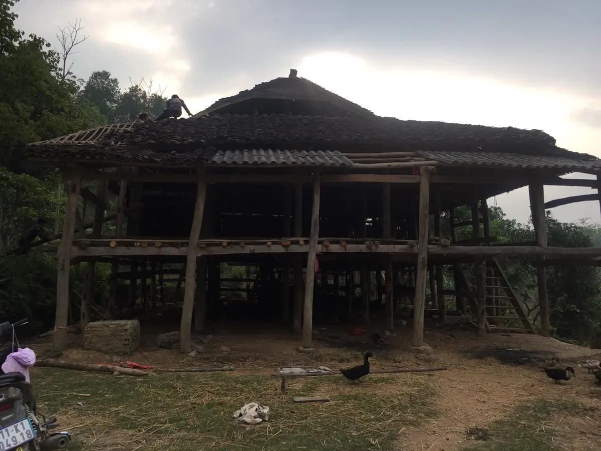 Image 11