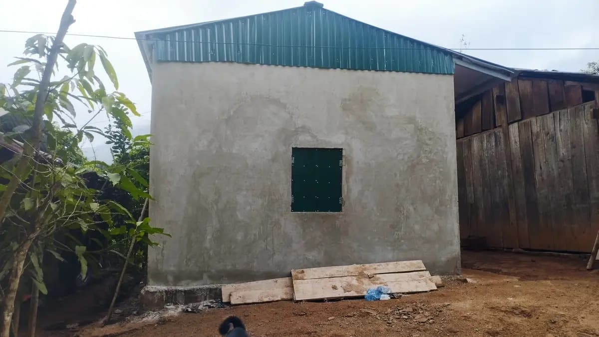 Image 6