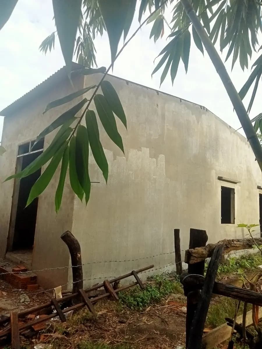 Image 14