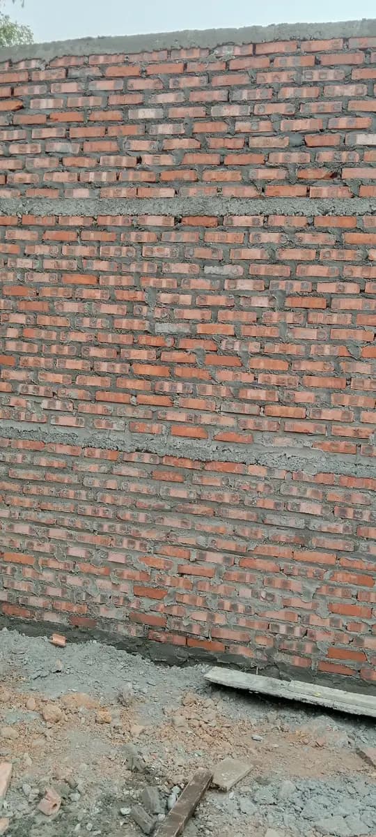 Image 14
