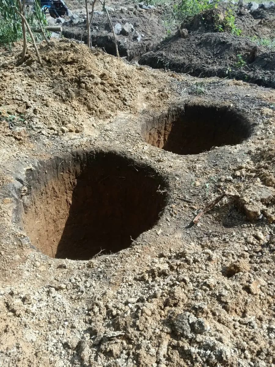 Image 13