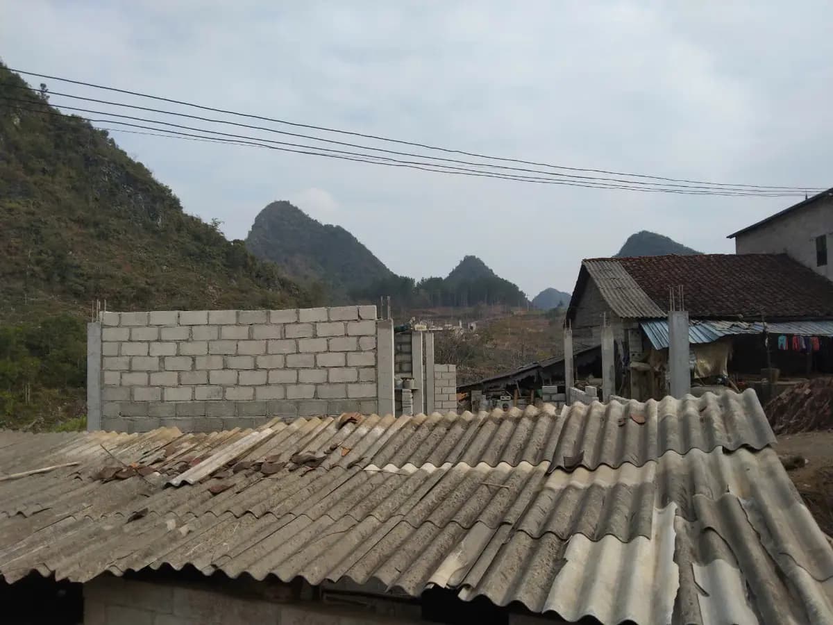 Image 14