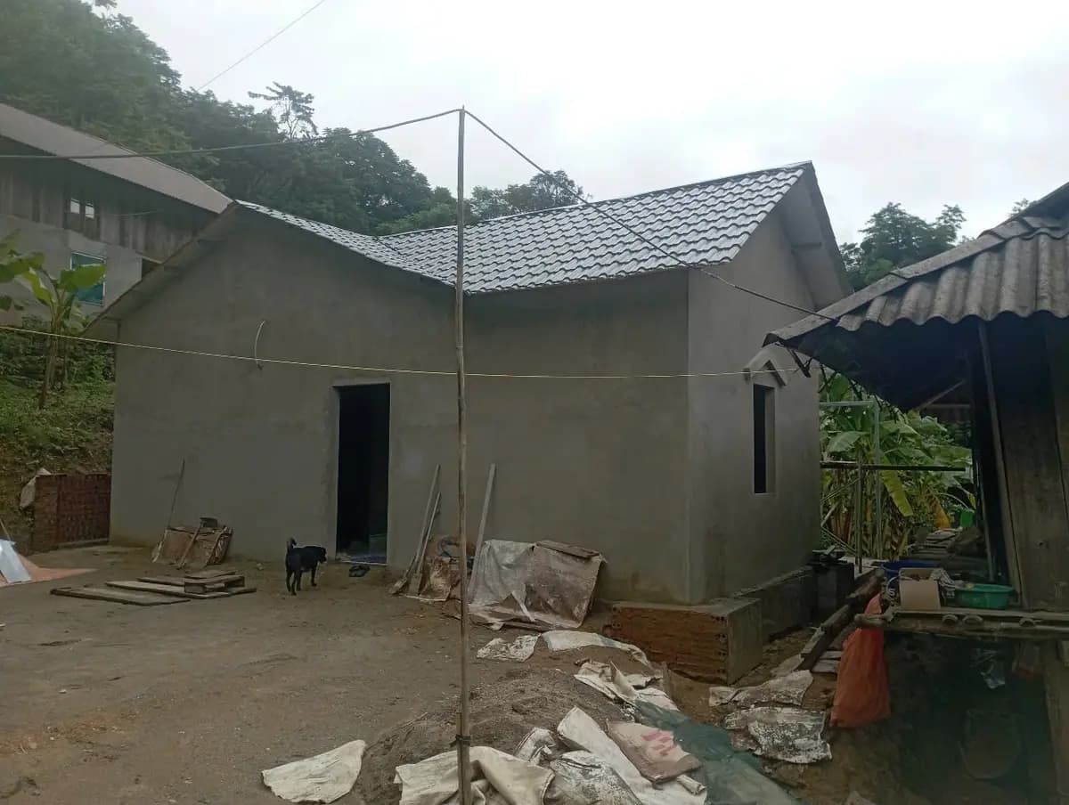 Image 11