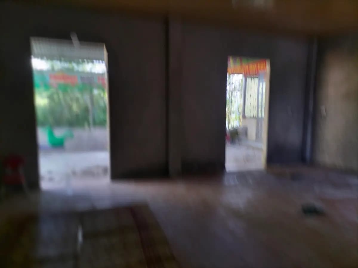 Image 15