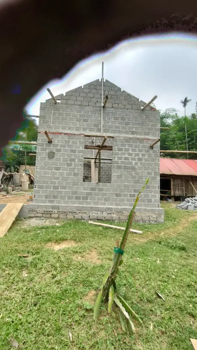 Image 15