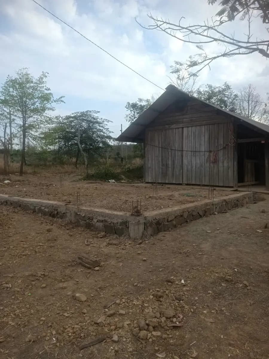 Image 28