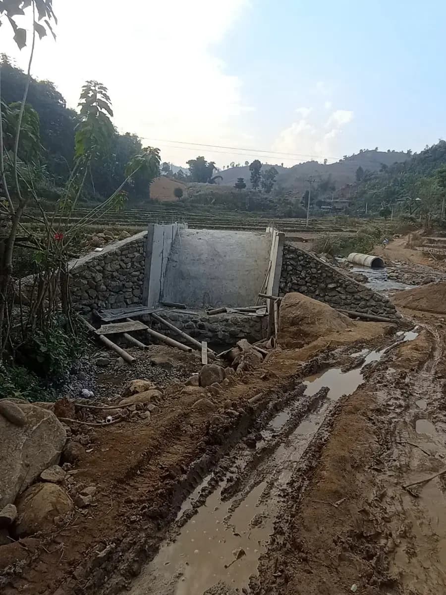 Image 12