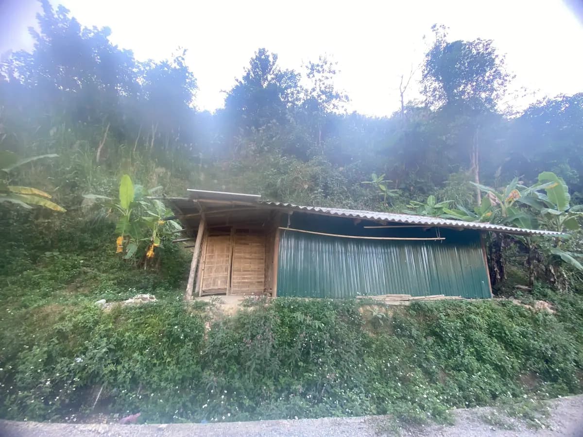 Image 12