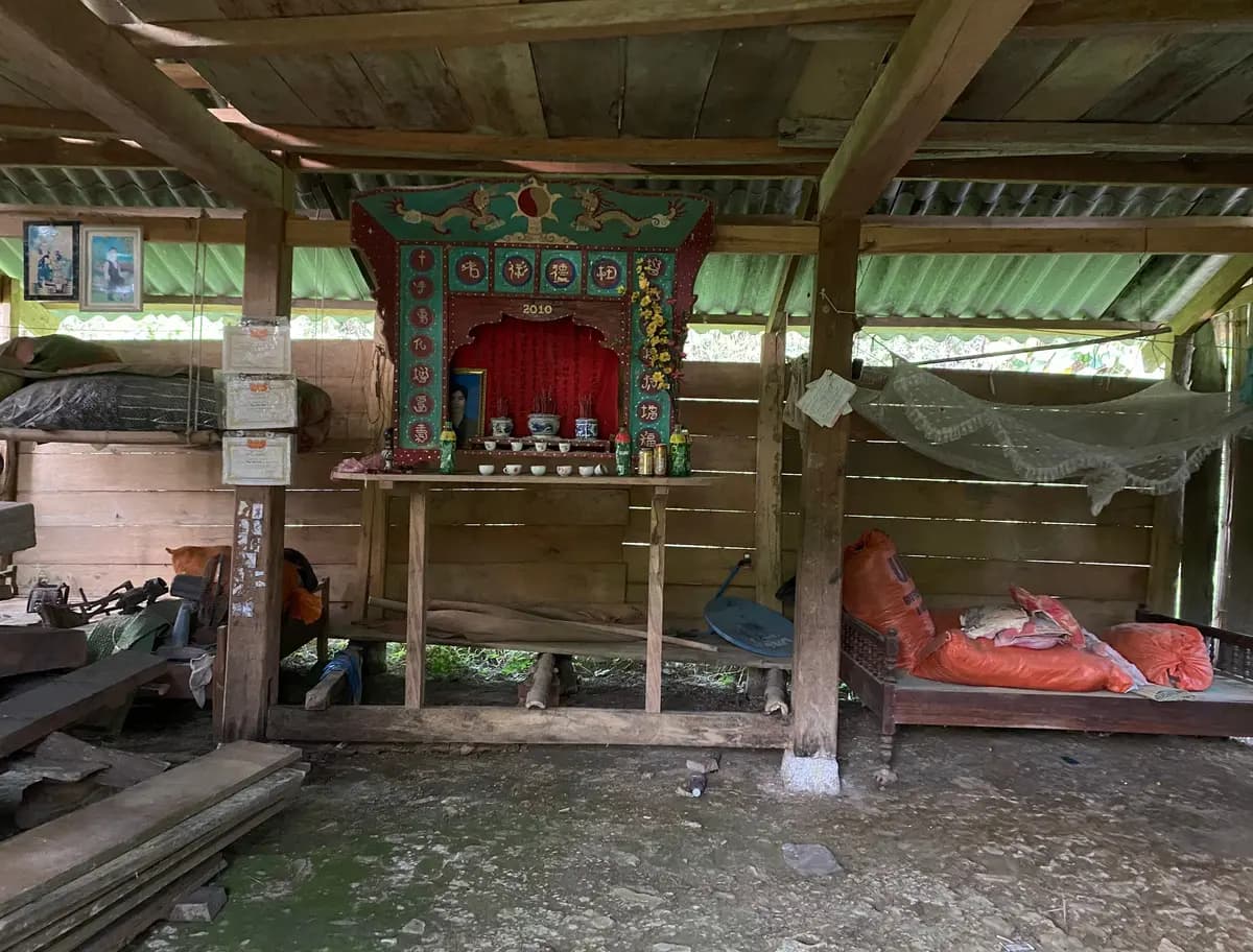 Image 12