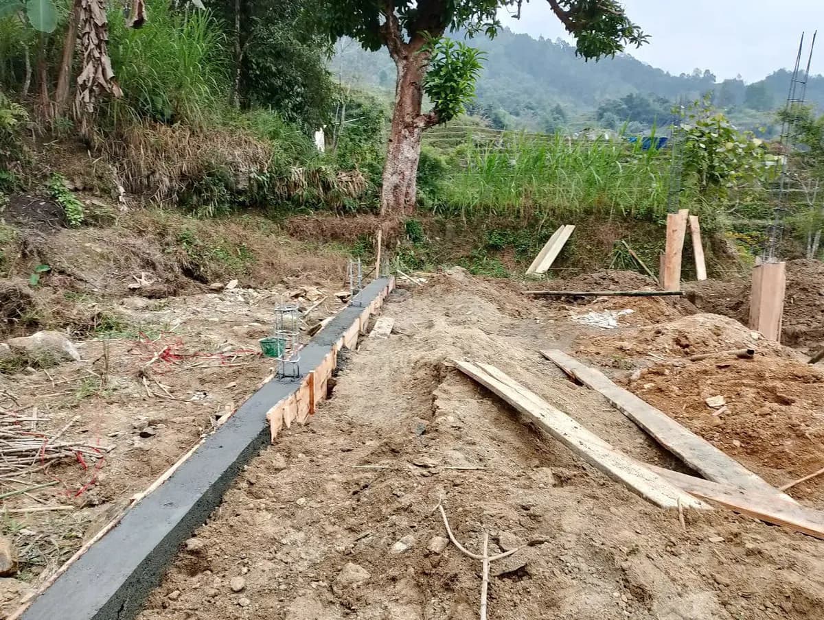 Image 12