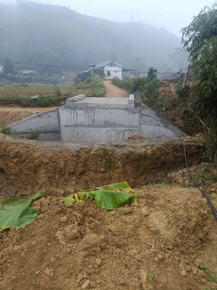 Image 12