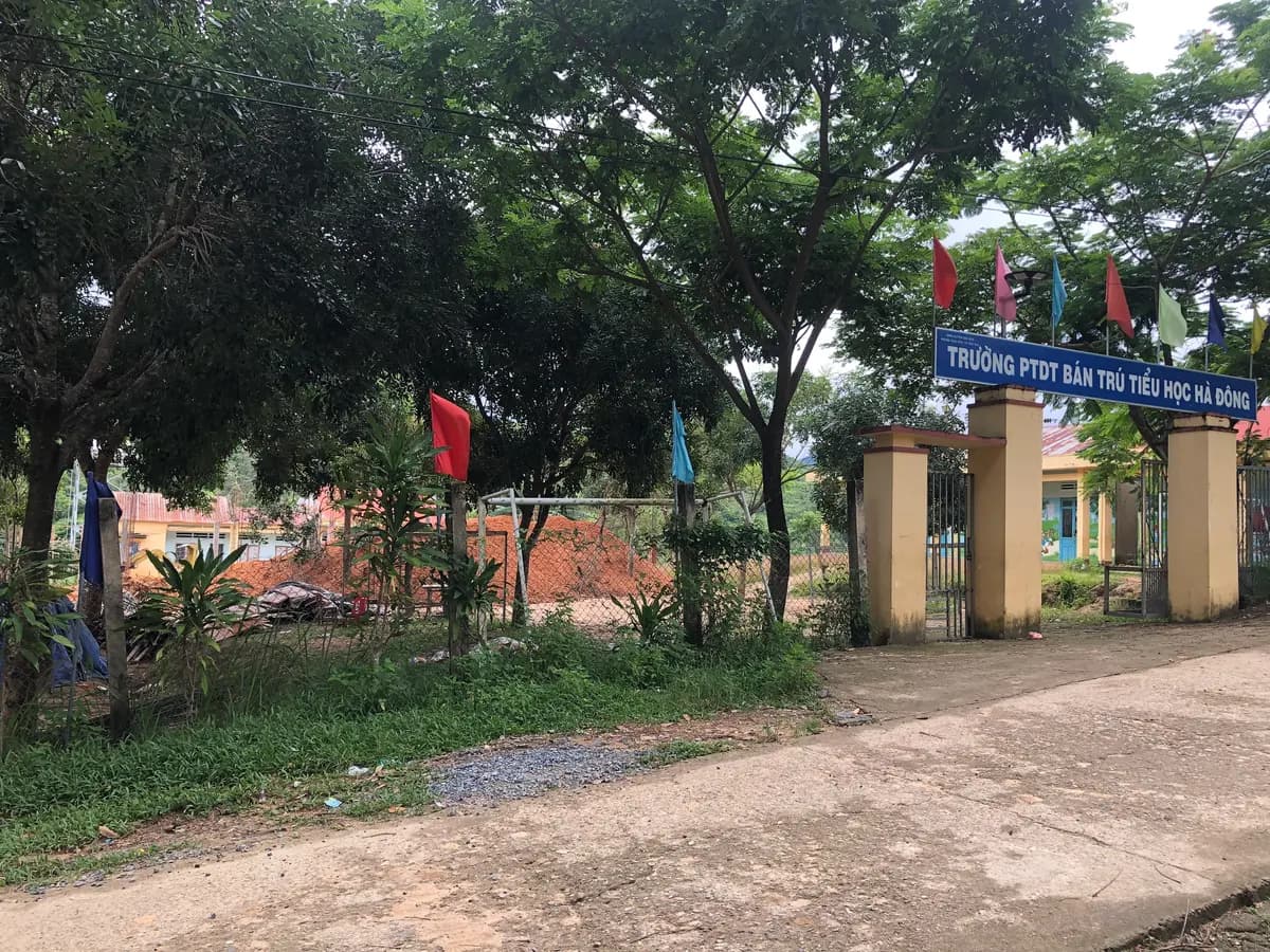 Image 5