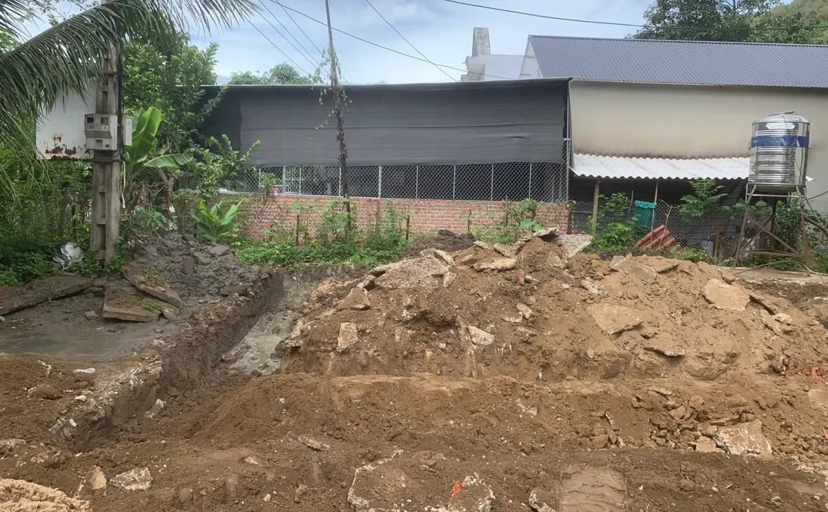 Image 14