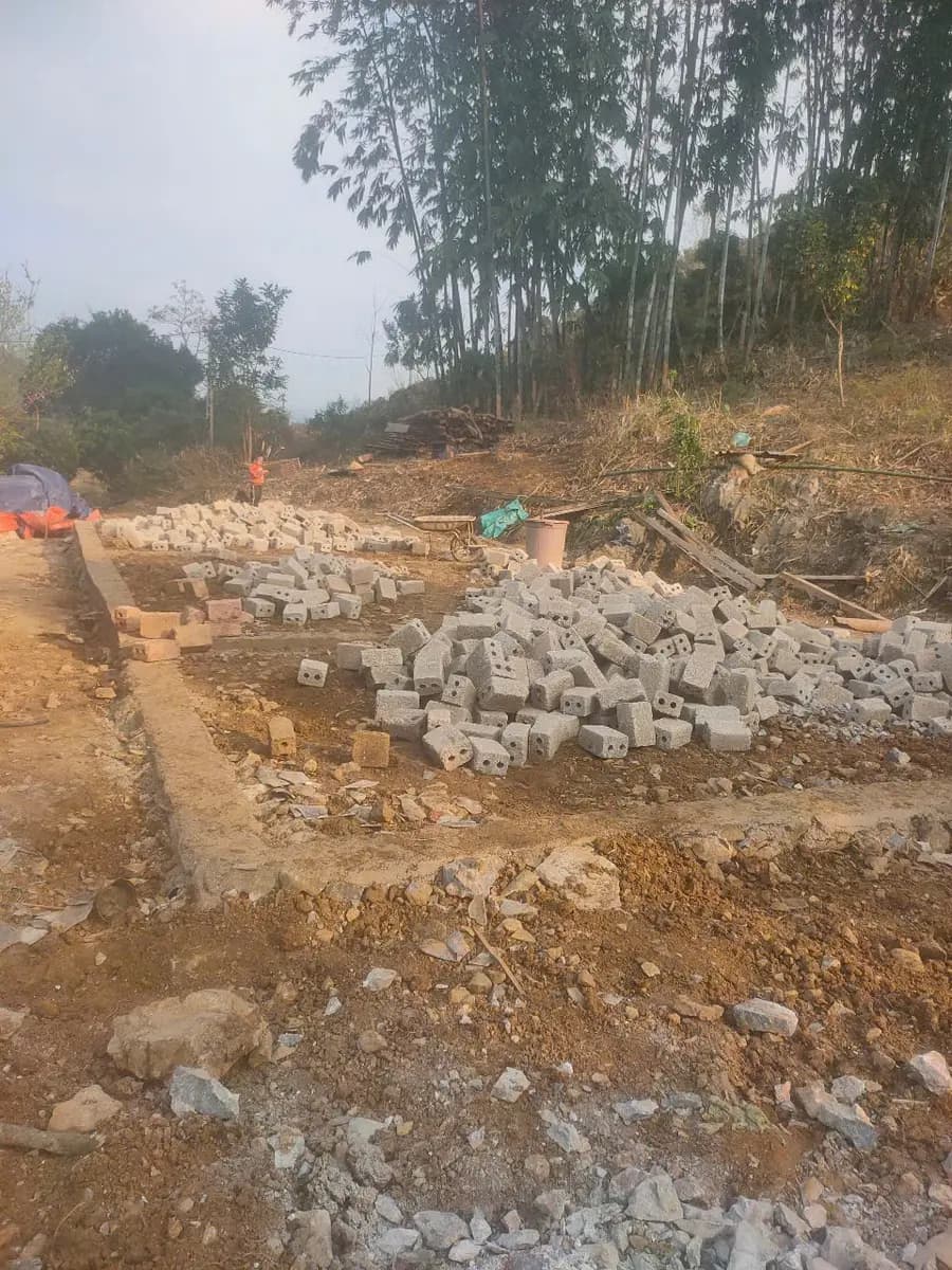 Image 10