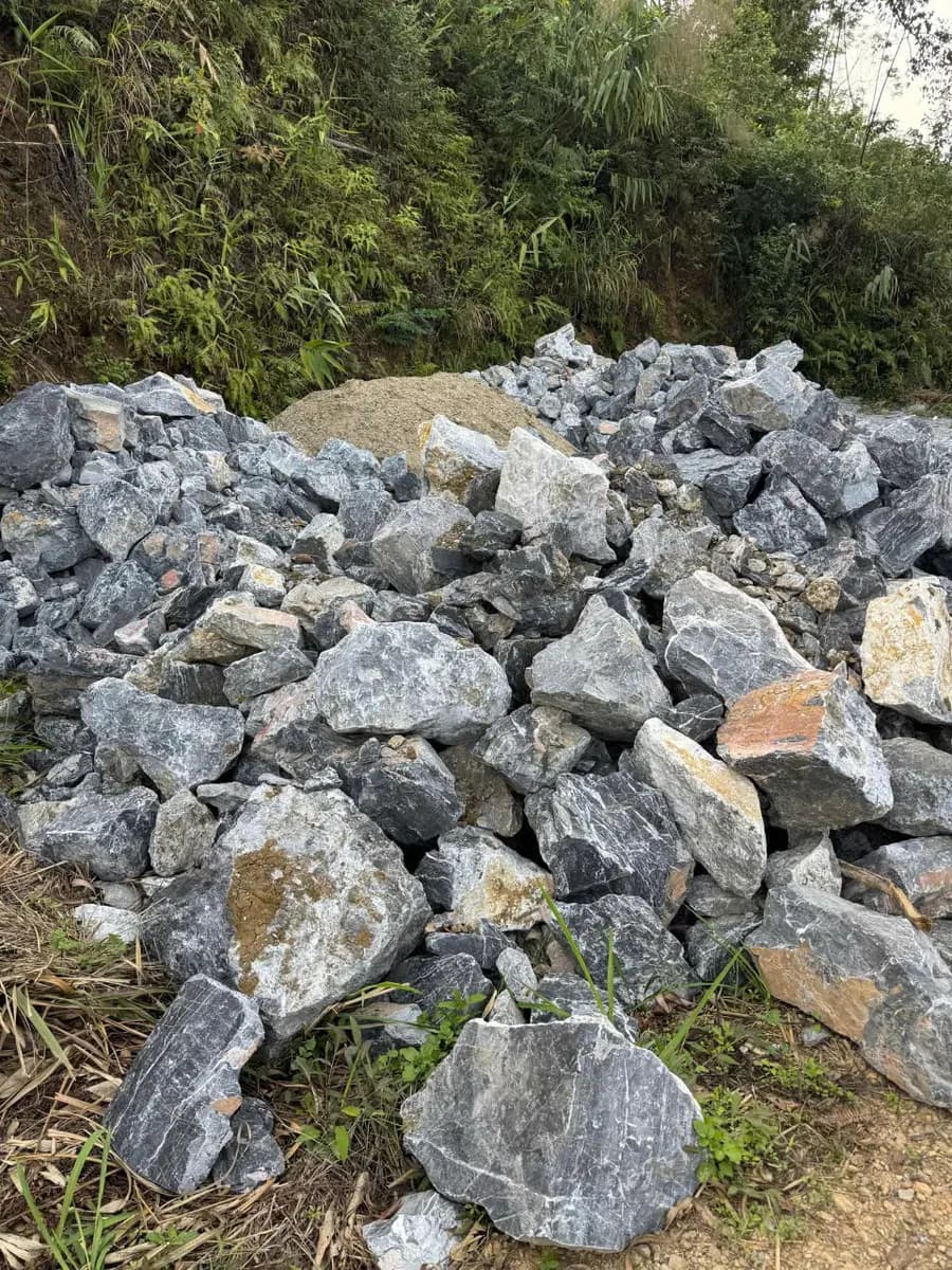 Image 14