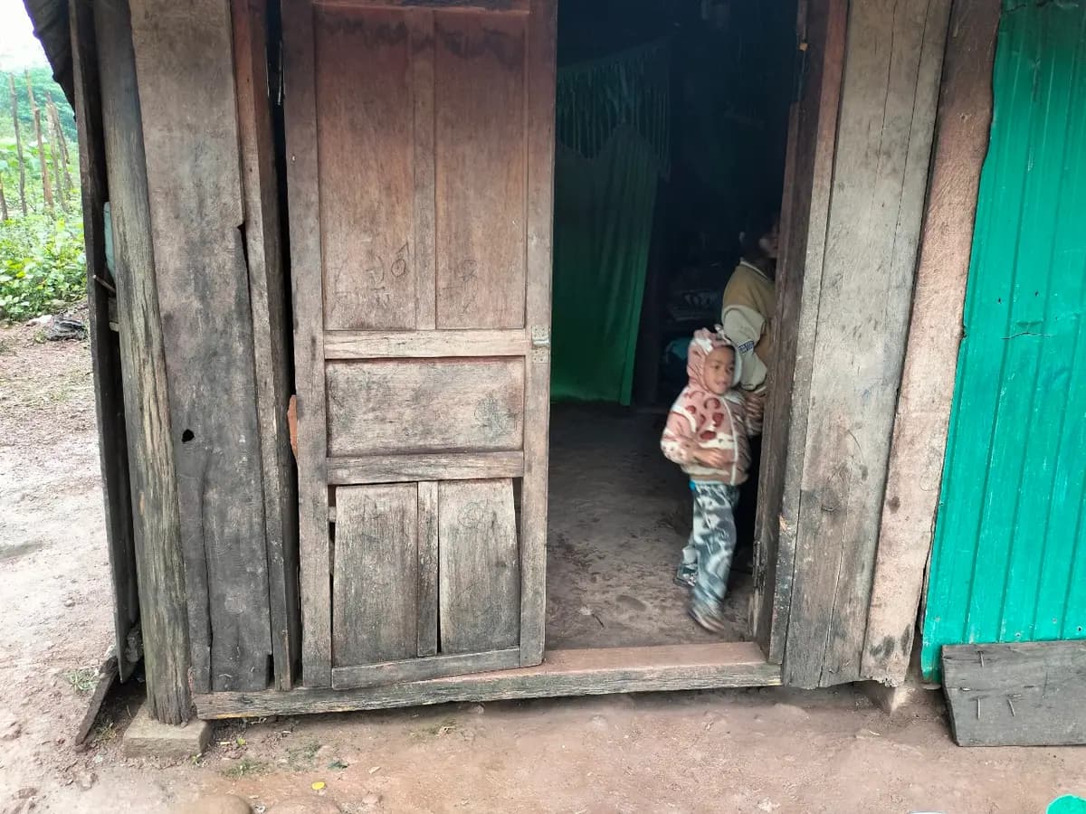 Image 6